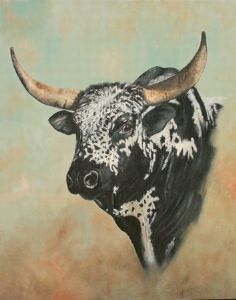 "Nguni #6"