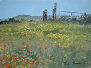 "Flower season at Ganzekraal"