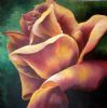 "Rose"