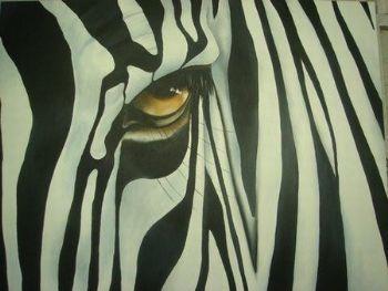 "Zebra"