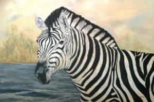 "Zebra"