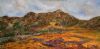 "Springtime in Namaqualand"