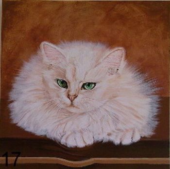 "White Cat"