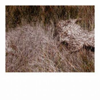 "Grass Series - 3"