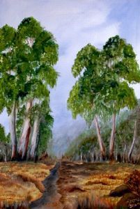"Gum Trees in Valley"