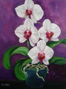 "Flowering Orchid"