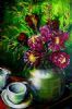 "Proteas"