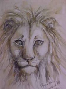 "African lion"