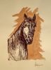 "Equus 2"