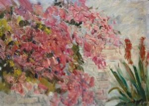 "Bougainvillaea"