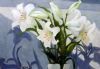 "Shadows & Lilies"