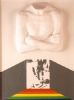 "Soweto Uprising"