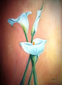"Garden Arums 1"