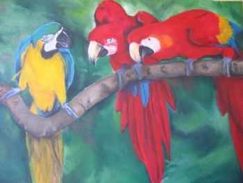 "parrots"