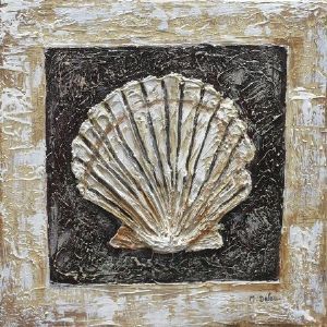 "Seashell"