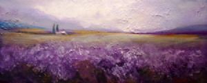 "lavender fields"