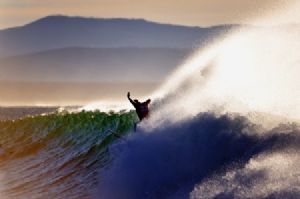 "The Surfer #2"