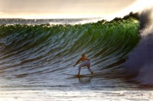 "The Surfer #5"