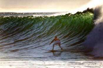 "The Surfer #5"