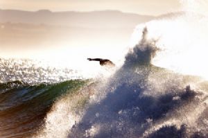 "The Surfer #10"