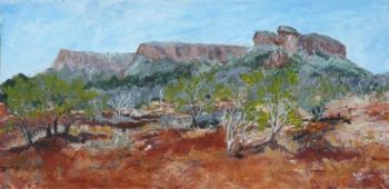 "Bushveld - Waterberg"