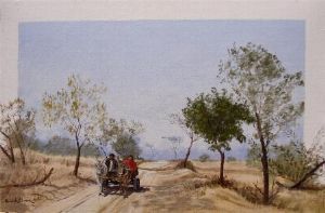 "Bushveld Road"