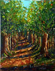"Forest Road"