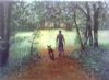 "Walk in the park"
