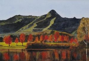"Outeniqua Mountains"