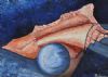 "Sea,shell and moon"