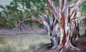 "Bluegums"