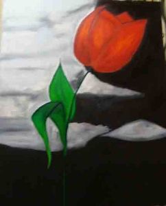 "Midnight Tulip"