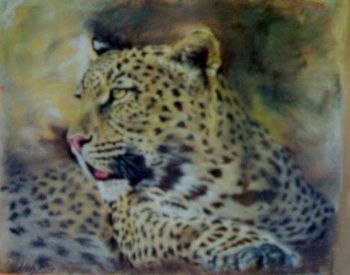 "Leopard in pastel"