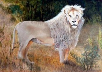 "White Lion"