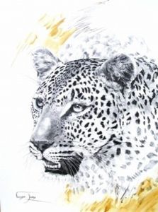 "Leopard"