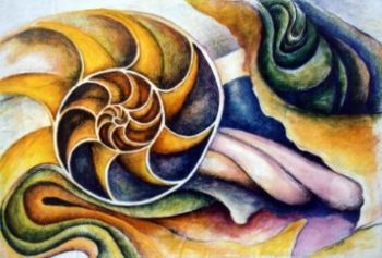 "Abstract shell study"