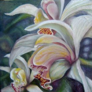 "Orchids"