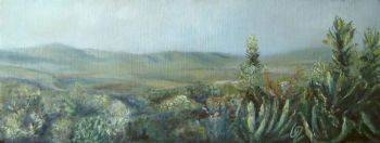 "Umfolozi landscape"