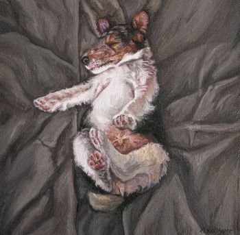 "Sleeping Puppy 1"