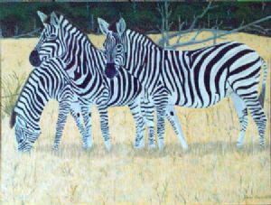 "Botswana Zebra"