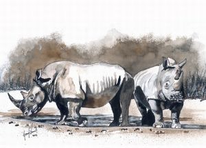 "Rhino Pair"