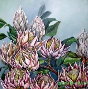 "Proteas in the Mist"