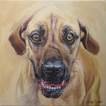 "Homeless Dog"