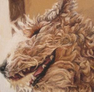 "Joyful spirit 2"
