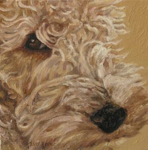 "Joyful spirit 3"