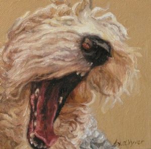 "Joyful spirit 7"