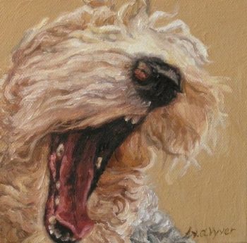 "Joyful spirit 7"