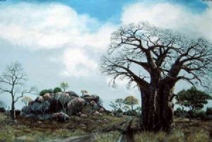 "Baobab & rocks"