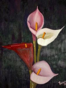 "Arum Lilies 4"