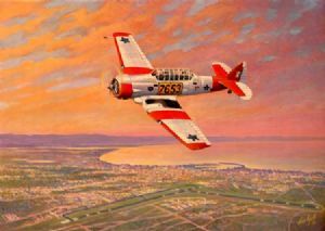 "SAAF Harvard - Late Arrival"